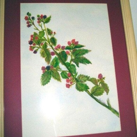 Framed Watercolor Painting Raspberries Original Artwork 19x15 Signed Authentic - Picture 9 of 9